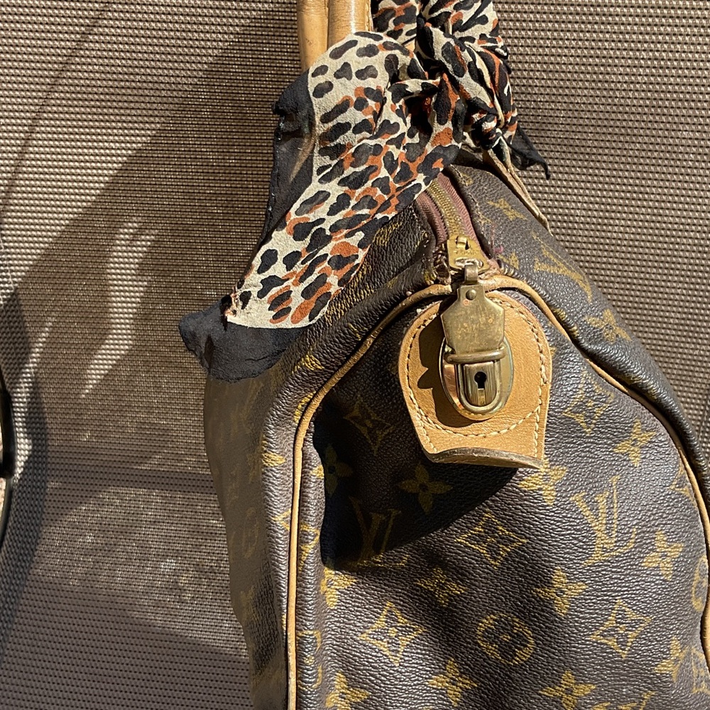 Louis Vuitton classic vintage speedy 30 with Leopard Accent - Picture 2 of 10